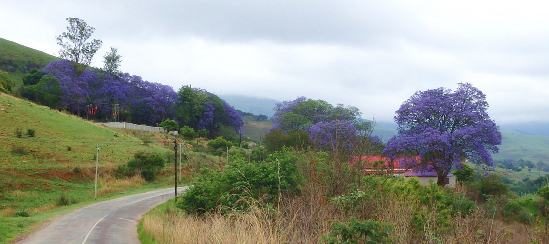 Traveling to Pilgrim's Rest, South Africa.